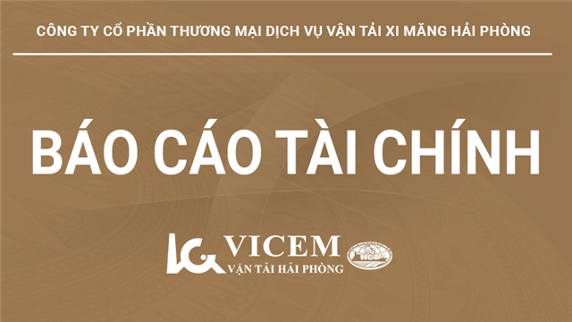Toàn văn Báo cáo tài chính đã kiểm toán năm 2024